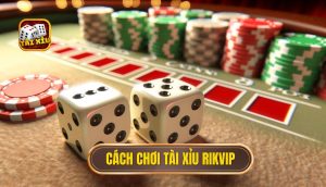 cách chơi tài xỉu rikvip