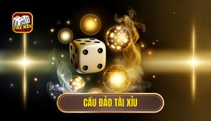 cầu đảo tài xỉu