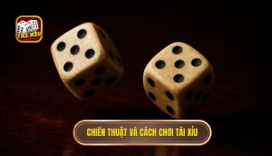 chiến thuật và cách chơi tài xỉu