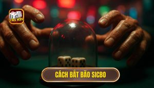 cách bắt bão sicbo