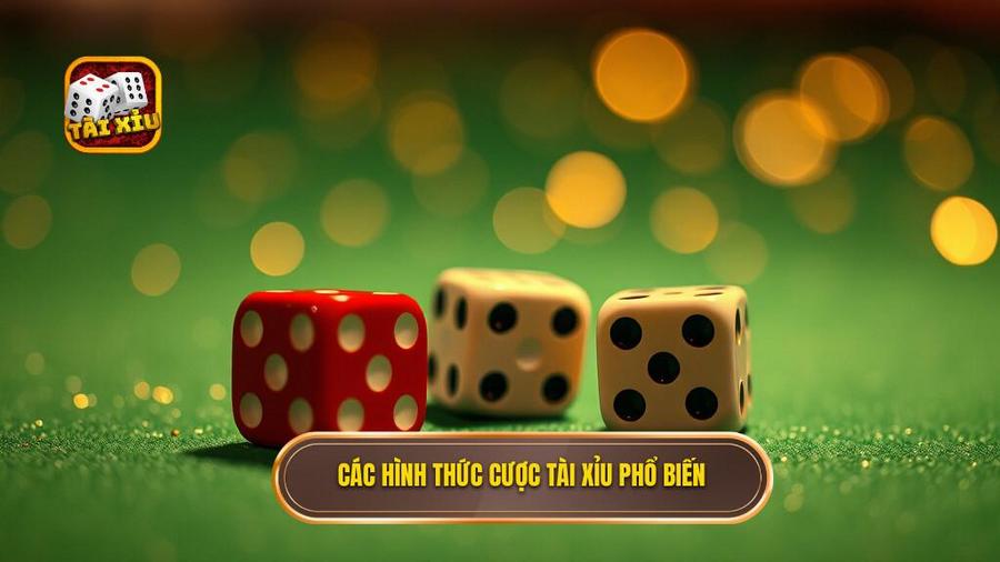 Các Hình Thức Cược Phổ Biến Trong Tài Xỉu Ăn Tiền