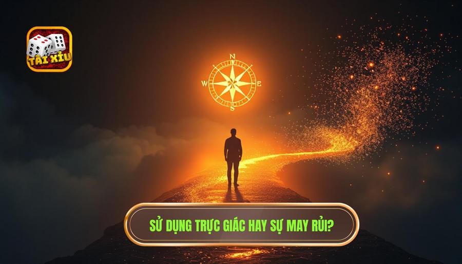 Sử dụng cảm tính: Trực giác hay là sự may rủi?