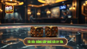 Vì sao nhiều người thua khi theo chuỗi? Giải mã bẫy tâm lý Tài Xỉu