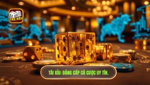 Chơi tài xỉu nên dùng logic hay cảm tính? Bí quyết thắng lớn