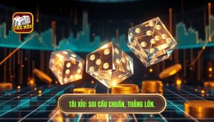 Cầu hôm nay đang chạy theo hướng nào dễ ăn? Bí quyết từ TÀI XỈU